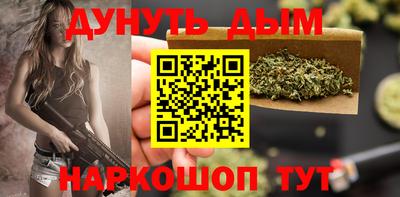 стаф Кинель