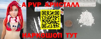 стаф Кинель