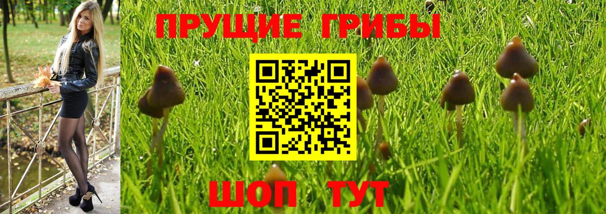 Галлюциногенные грибы Psilocybe  Вход с VPN  Галлюциногенные грибы Cubensis  хочу наркоту  Ярцево 